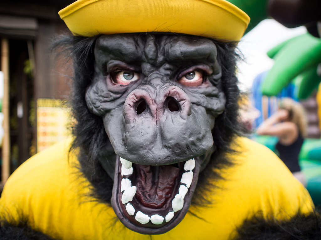 deichbrand festival 2014