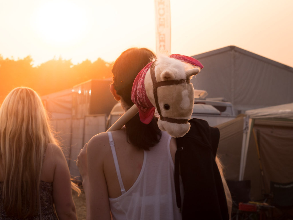 deichbrand festival 2014