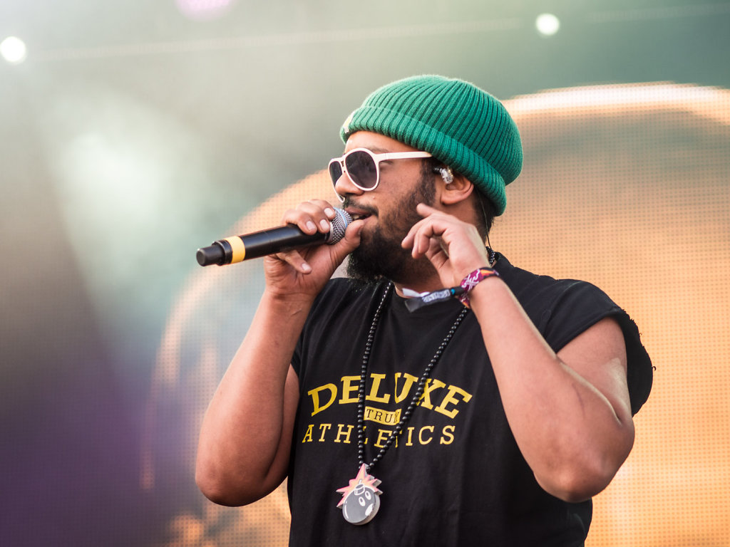 deichbrand festival 2014