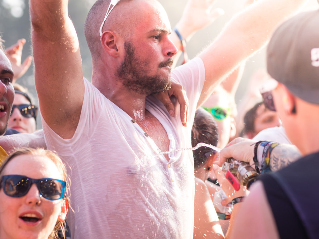 deichbrand festival 2014