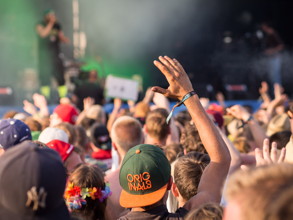 deichbrand festival 2014