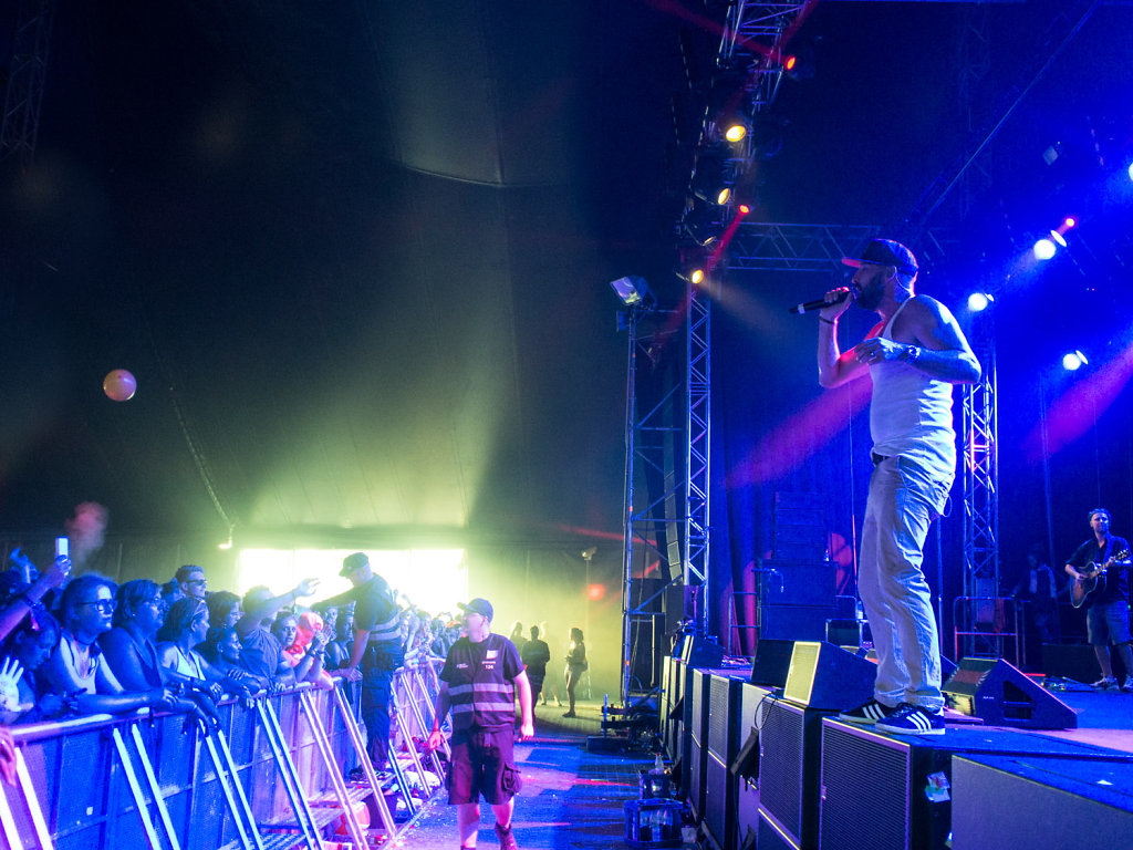 deichbrand festival 2014