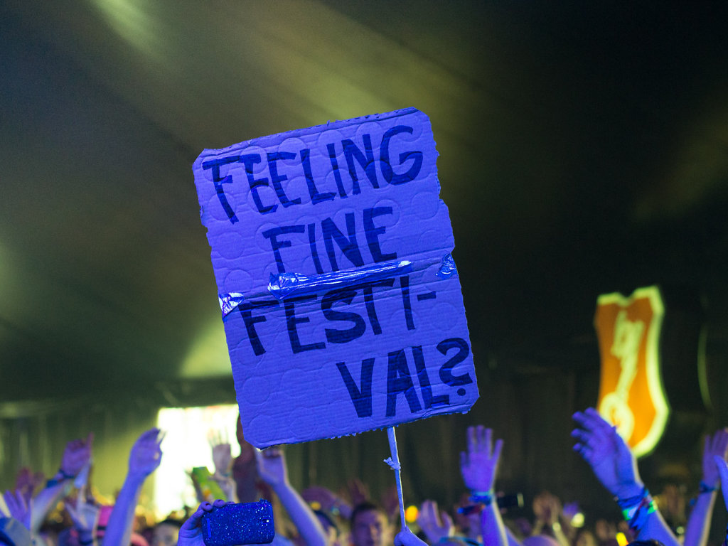 deichbrand festival 2014