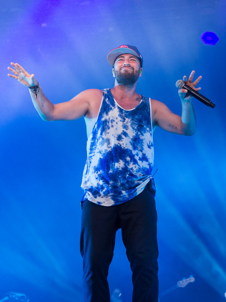 deichbrand festival 2014