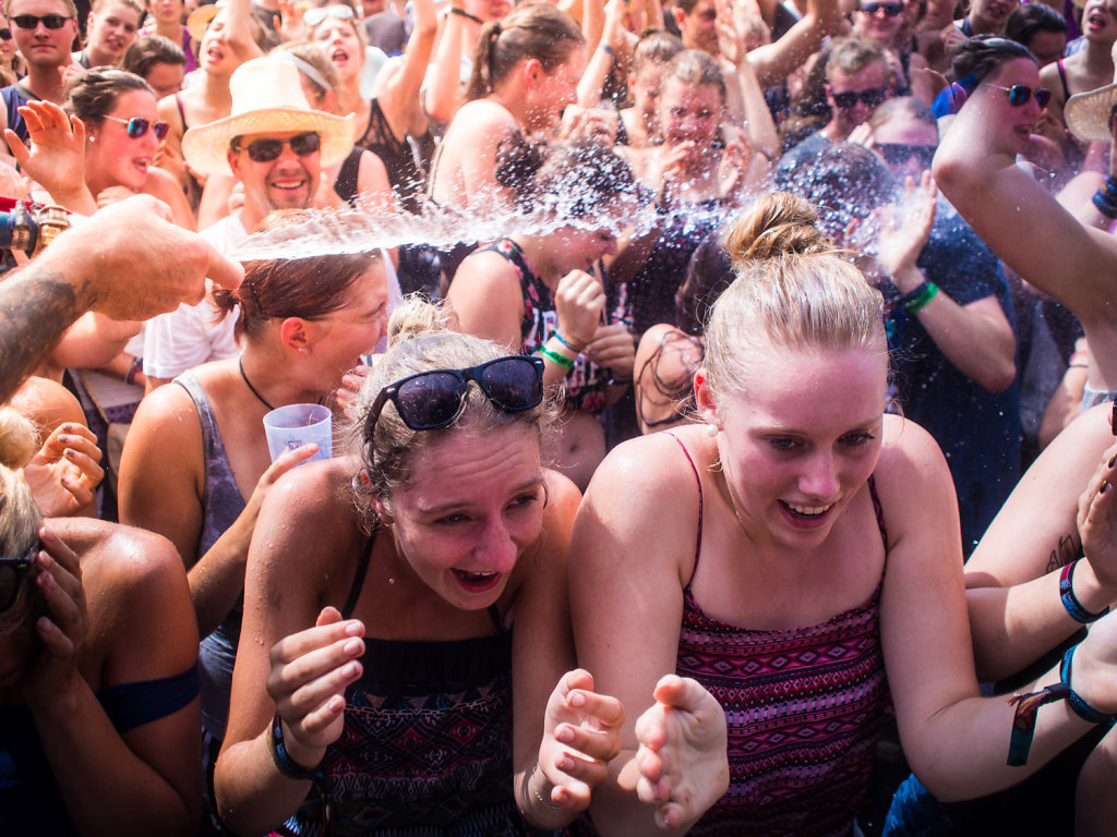 deichbrand festival 2014